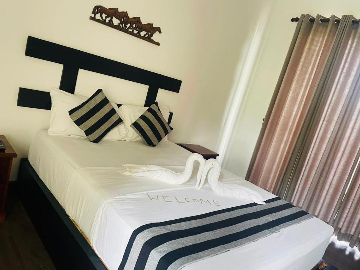 Black Mustang Hotel Dambulla Extérieur photo